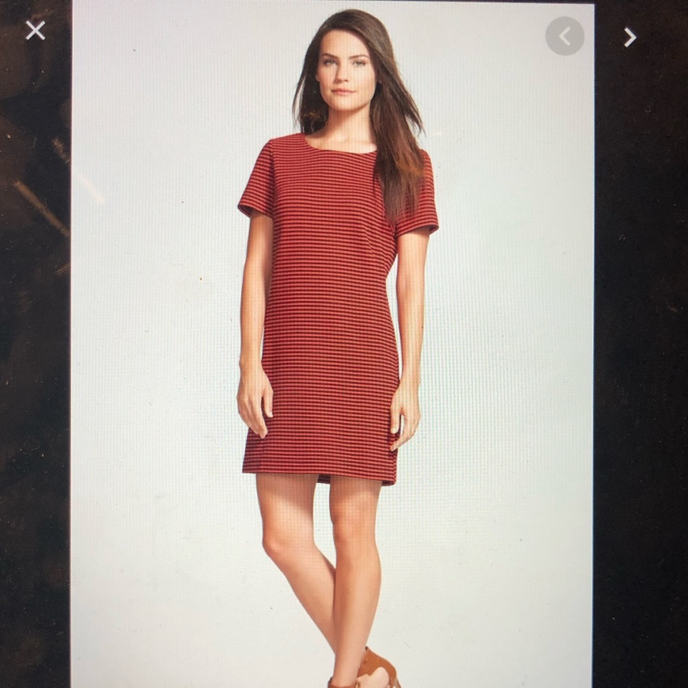 Splendid red and black striped shift dress, large